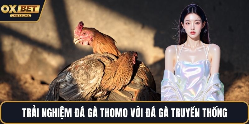 Trải nghiệm đá gà thomo với đá gà truyền thống
