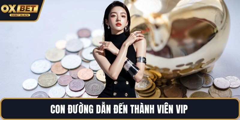 Con đường dẫn đến thành viên VIP