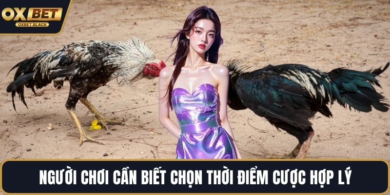 Người chơi cần biết chọn thời điểm cược hợp lý